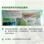 家禽环保食品