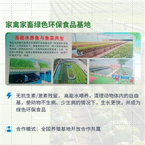 家禽环保食品