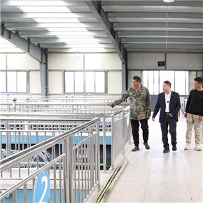 绿色养殖地
