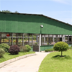绿色养殖基地