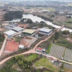 养殖总基地